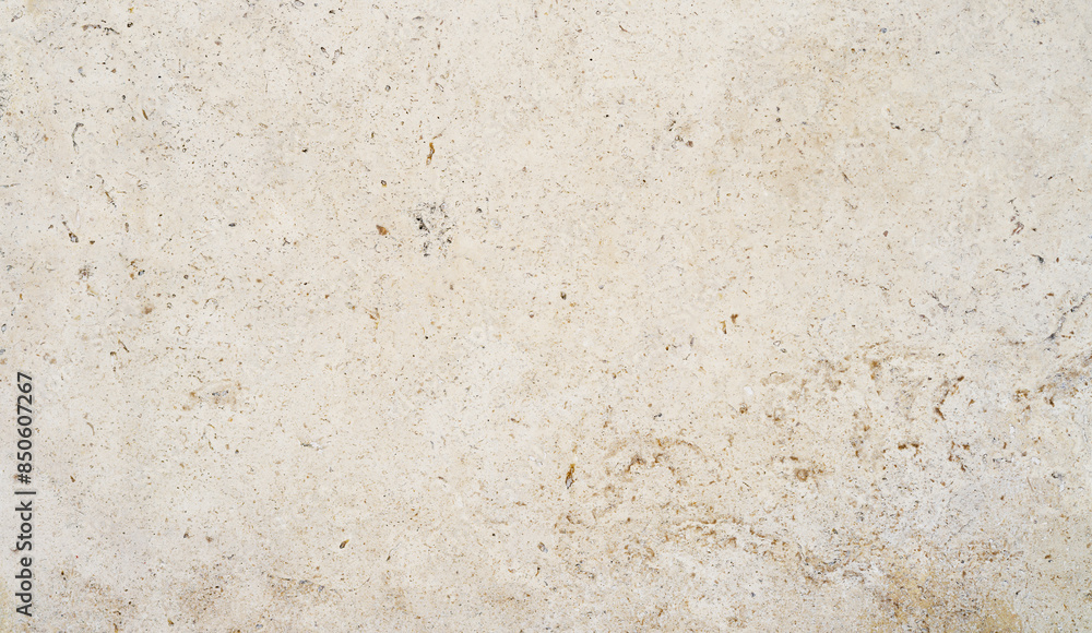 Matt texture of limestone wall, background. Coquina texture Matt texture of limestone wall, background. Coquina texture
