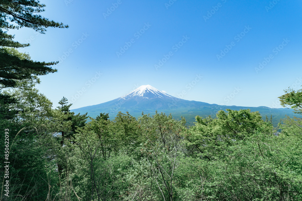 展望台から見る河口湖と富士山