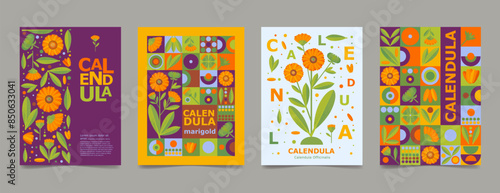 Set poster, brochure with calendula drawing. Isolated flower and leaves. Cards geometry for print design vector banner