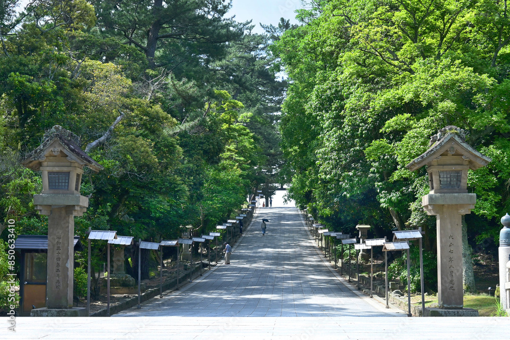 神話のふるさと 島根県出雲市 出雲大社参道 神話のふるさと 島根県出雲市 出雲大社参道