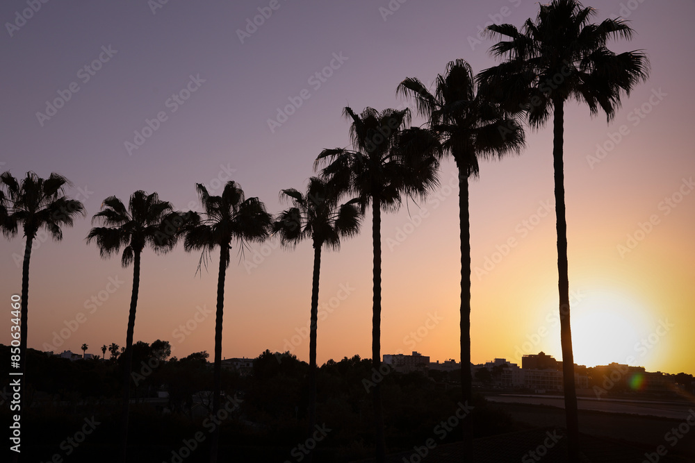 Obraz premium sunset at the beach with palm trees