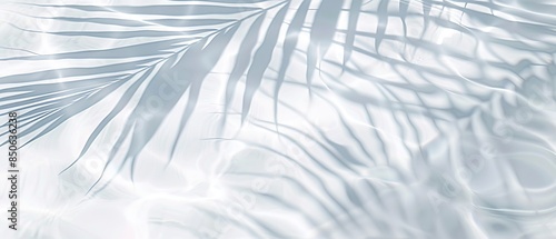 Elegant minimalist background concept featuring close-up water surface with gentle ripples and subtle blurred palm leaf shadows on the beach, evoking a peaceful, natural and pure atmosphere.