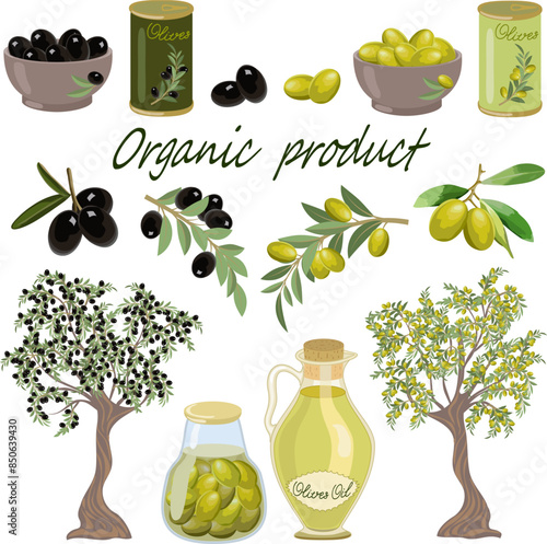 Big colored set with olives.Olives and products from them in color illustration on a white background.