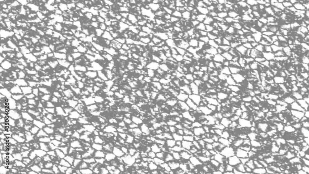 Fluid art. Black and white pattern. 3d loop animation.Abstract liquid video.liquid background. Fluid art. Black and white pattern. 3d loop animation.Abstract liquid video.liquid background.
