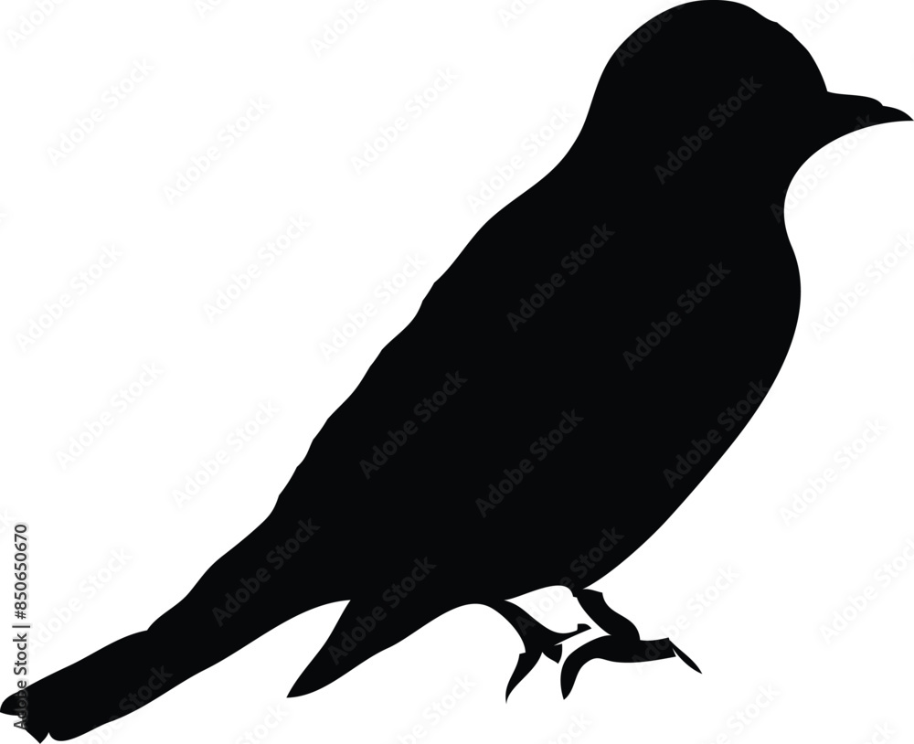 Obraz premium silhouette bird of your business