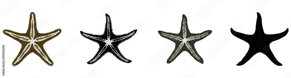 Set of black and white silhouette starfishes isolated on a transparent background editable vector Set of black and white silhouette starfishes isolated on a transparent background editable vector