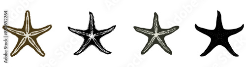 Set of black and white silhouette starfishes isolated on a transparent background editable vector 