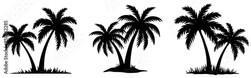 Set of palm trees silhouette isolated on transparent background vector 