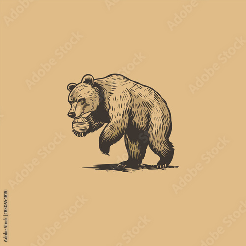 honey bear design vector illustration