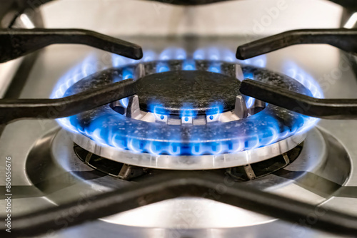 Gas flame