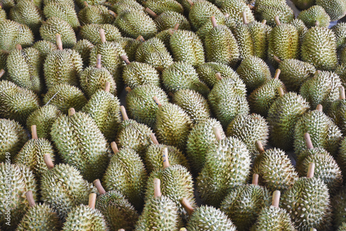 Durian fruit for sale to buyers in the Thai fruit market Durian is known as the fruit king of Thailand. © Aphisith