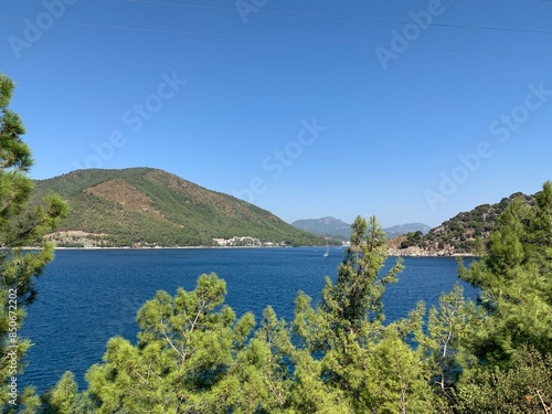Summer vacation background. Turquoise sea water bay and pine trees.