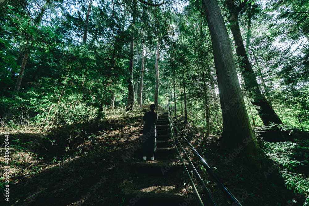 Obraz premium 河口浅間神社の山道