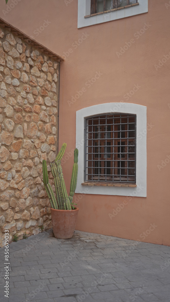 A potted cactus stands by a barred window on a peach stucco wall, contrasting with an adjacent stone facade.