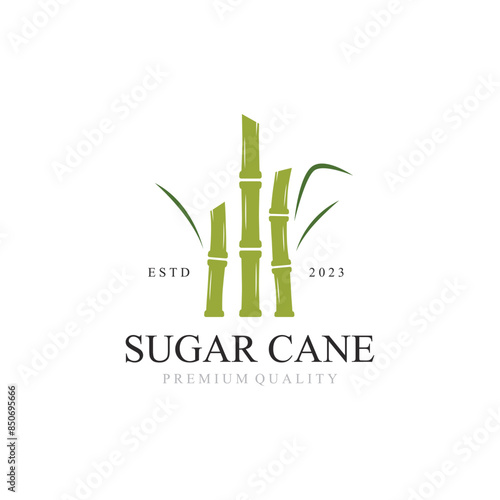 Natural Sweet Sugar Cane Plant Logo Template.
