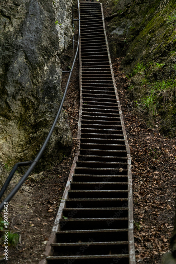 Fototapeta premium Panoramic view from Lake Bled, beauty heritage in Slovenia. Island with church and castle in the background create a dream setting. View from Ojstrica and Mala Osojnica with the heart-shaped bench.