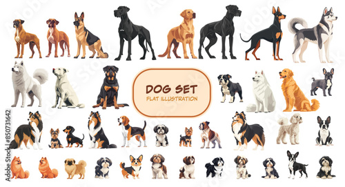 Large dog set. Dogs collection flat style. Lots of dog breeds. Vector set illustration.