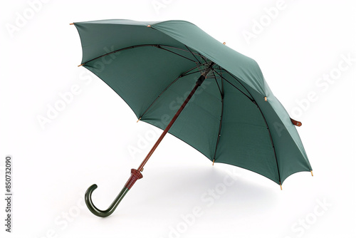 a green umbrella with a handle photo