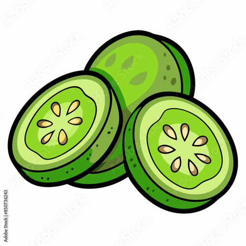 Cucumber with slices vector illustration 