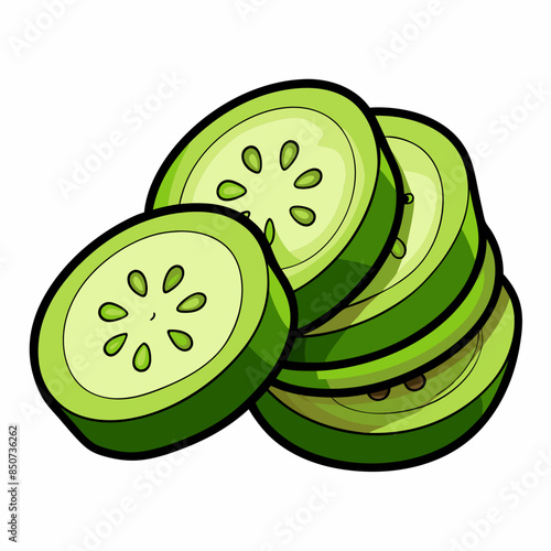 Cucumber with slices vector illustration 