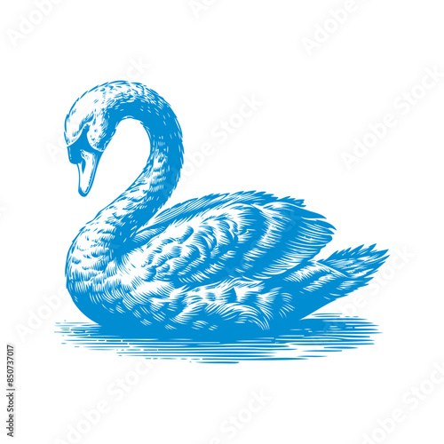 swan vector, swan crown vector, swan logo vector, swan illustration, swan logo, swan