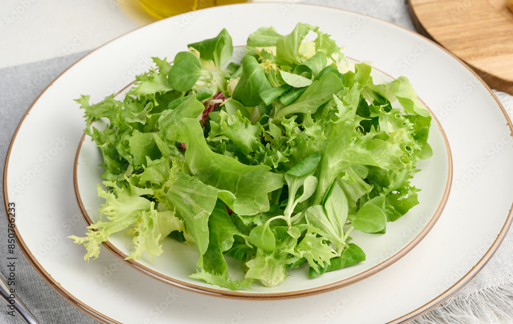 Fresh green lettuce leaves in a white plate on the table, healthy food Fresh green lettuce leaves in a white plate on the table, healthy food