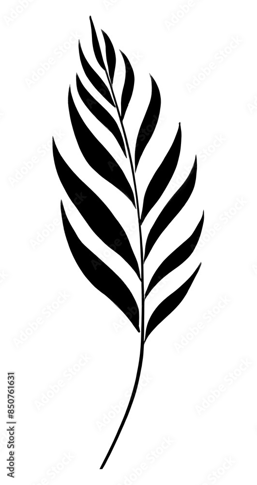 PNG black and white uneven lines stroke outline of simple *plant leaf* in style chinese ink brush stroke , gouach texture, minimal clean, isolated on off white background PNG black and white uneven lines stroke outline of simple *plant leaf* in style chinese ink brush stroke , gouach texture, minimal clean, isolated on off white background