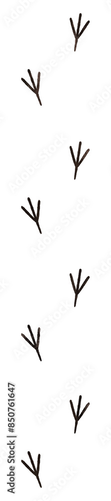 Obraz premium java sparrow footprints