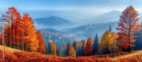 Autumnal Mountain Landscape with Misty Peaks photo