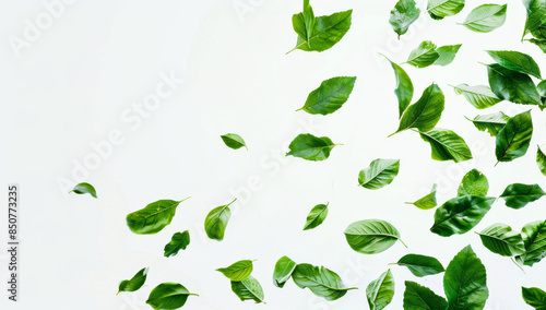 green leaves falling in the air, white background, high resolution photography.