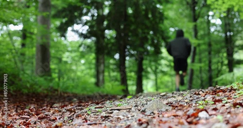 Trail runner training on a forest trail