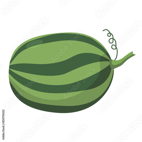Whole watermelon vector illustration, cartoon water melon fruit, buah semangka icon isolated on white background
