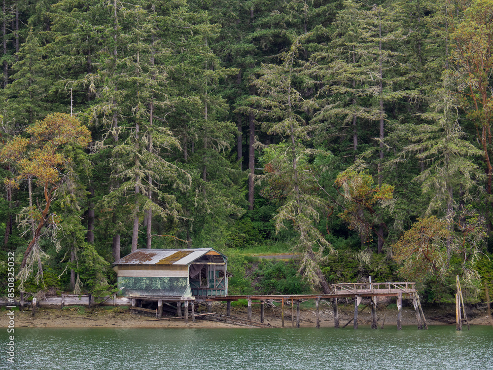 Φωτογραφία Decaying boat house and dock on the water of a Puget Sound bay surrounded by lush evergreen trees