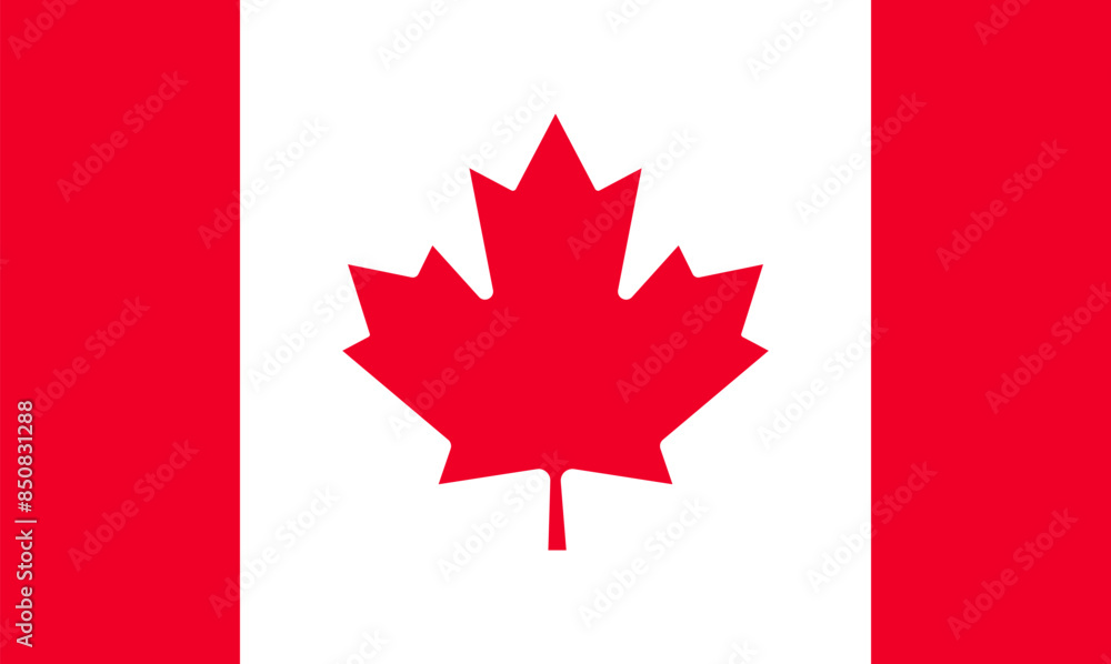 Canada national flag vector design. Canada national flag vector design.