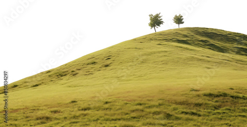 PNG Sheaps on the hills countryside grassland outdoors nature. photo