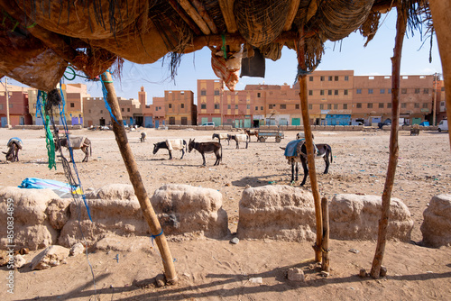 Rissani, Morocco, Sahara Desert. Born from trading post that dates back to the 8th century, Rissani is where caravans began and desert inhabitants learnt grow dates, the authentic souk