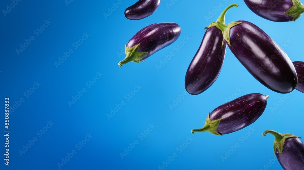 Fresh eggplants isolated on vibrant blue background. High-quality image perfect for culinary, food, and nutrition-related projects. Fresh eggplants isolated on vibrant blue background. High-quality image perfect for culinary, food, and nutrition-related projects.