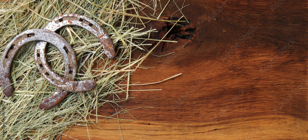 2 horseshoes with hay on a board as a background 2 horseshoes with hay on a board as a background