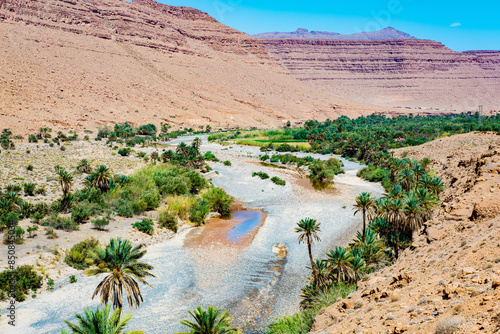 Obraz na płótnie Ziz Valley In Morocco: One Of The Largest Oases In The World