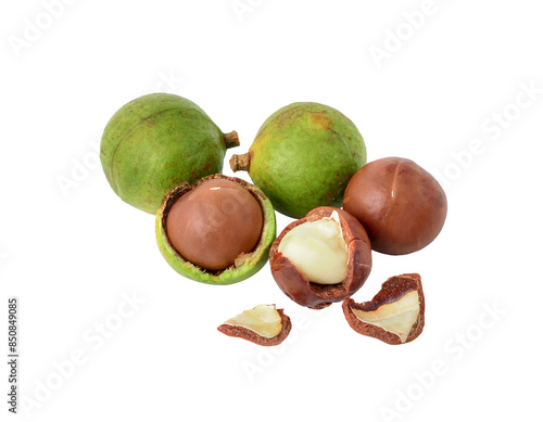 macadamia nuts transparent png
