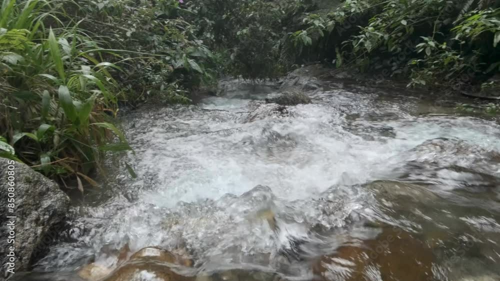Clear River Flowing Through Pristine Mountains Clear River Flowing Through Pristine Mountains