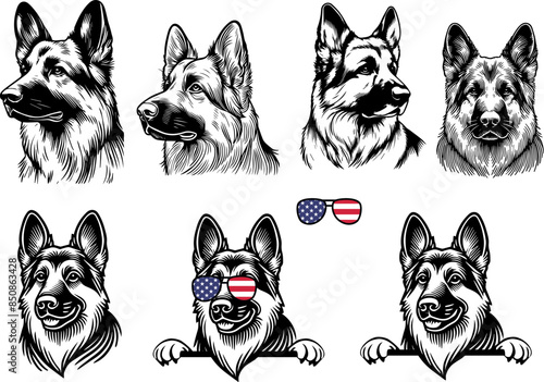 German Shepherd Police Dog Peeking,guard dog breed
