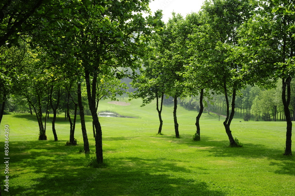 Parcours de golf Parcours de golf