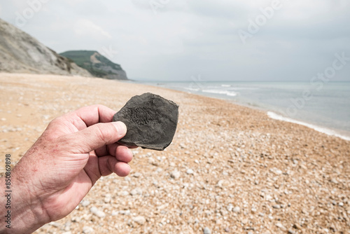 Imprint of a fossil found on the beach photo