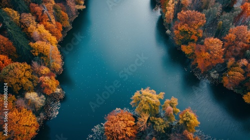 A beautiful view of a river with trees in the background
