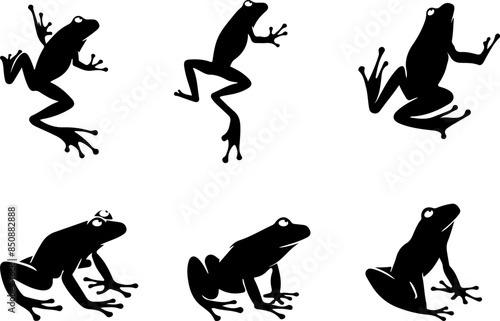 hand-drawn silhouette of a frog