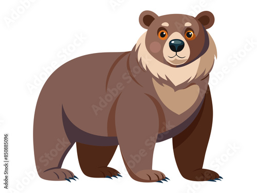 Bear vector illustration, cute animal vector illustration, Bear illustration vector, cute Bear cartoon illustration