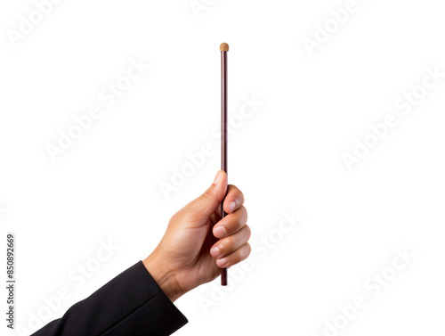 a hand holding a stick