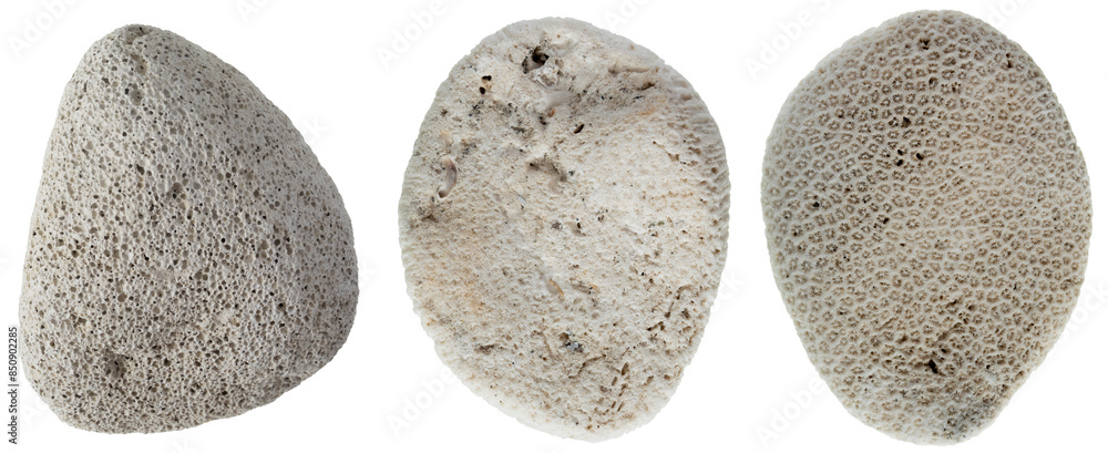 3 White Stones. White Oblong Porous Pebbles and Mineral Rocks. No ...