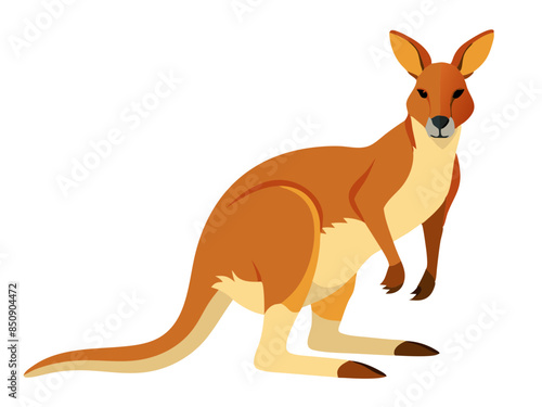 Kangaroo vector illustration, cute animal vector illustration, Kangaroo illustration vector, cute Kangaroo cartoon illustration